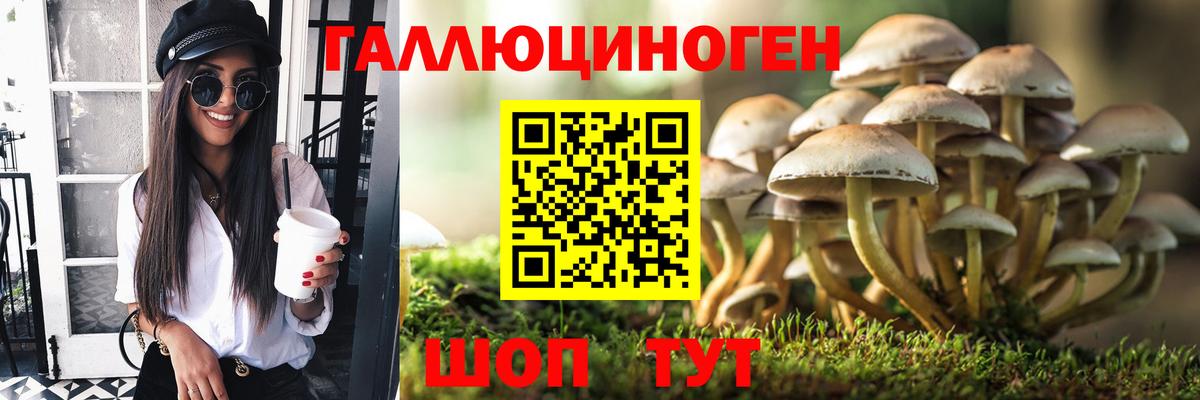 Дубна  Галлюциногенные грибы GOLDEN TEACHER  Вход с VPN  Псилоцибиновые грибы ЛСД 