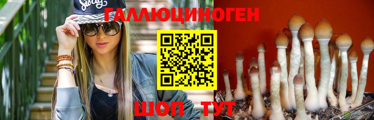 Галлюциногенные грибы прущие грибы Дубна