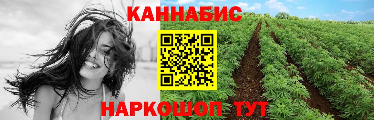 МАРИХУАНА White Widow Дубна